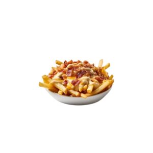 CHEESE FRENCH FRIES